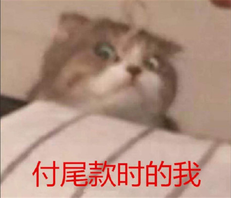 加油尾款人表情包(早安尾款人表情包)