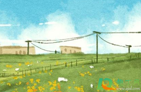 2021为什么是寡妇年(为什么2021年是寡妇年)