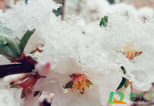 2021寡妇年要防倒春寒吗(2021寡妇年不宜做什么) 2021寡妇年要防倒春寒吗(2021寡妇年不宜做什么)