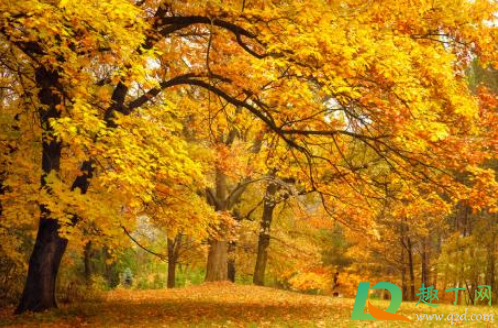 2021年元旦天气大概多少度(2021年元旦天气状况) 2021年元旦天气大概多少度(2021年元旦天气状况)