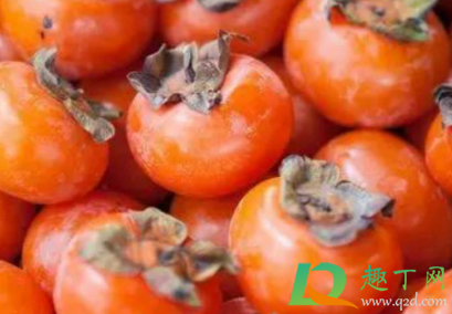 柿子和什么不能一起吃(柿子和什么不能一起吃会致命)