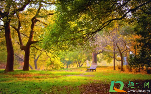 2021年元旦天气怎么样(2021年元旦天气预测)