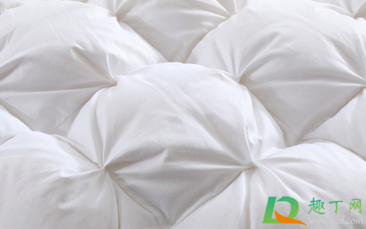 羽绒被有鸡毛味正常吗(羽绒服里有鸡毛)