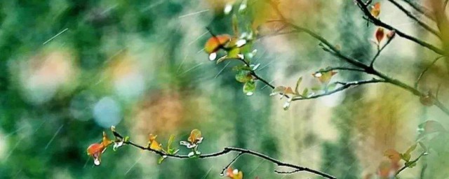 这可不是个成语哦(那是不是成语)