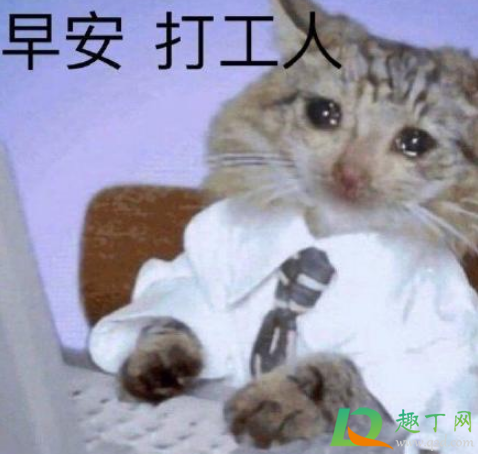 打工人梗为什么会爆火(打工人梗是积极的吗)