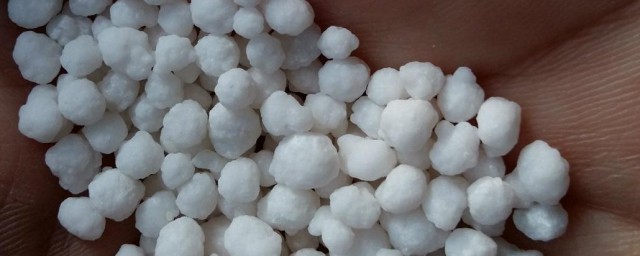 硝态氮肥有什么特点(什么叫硝态氮肥)