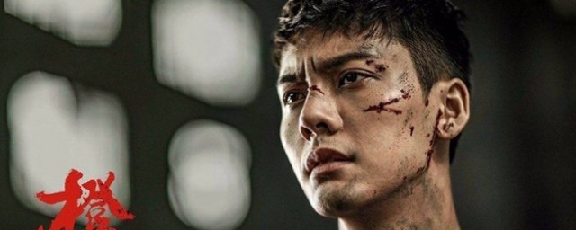 电视剧橙红年代讲的是什么(橙红年代电视剧情介绍)