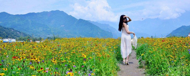 有八种改善方法(改善的八大步骤)