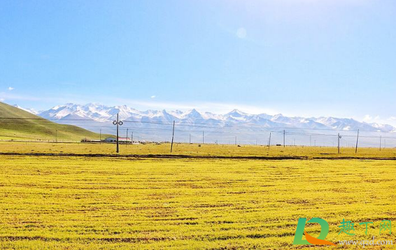 2021年元旦会冷吗(2021年春节前会冷吗)