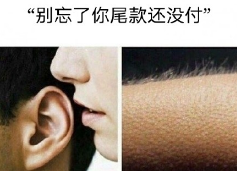 加油尾款人表情包(早安尾款人表情包)