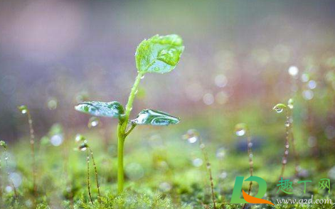 2021年2月天气有倒春寒吗(2021年三月份会出现倒春寒吗)