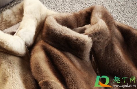 水貂绒自己在家怎么洗不缩水(水貂绒怎么洗好) 水貂绒自己在家怎么洗不缩水(水貂绒怎么洗好)