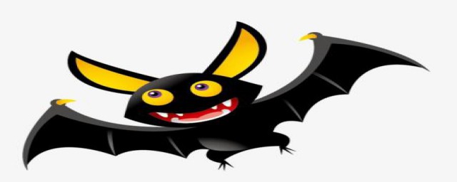 蝙蝠寓意(蝙蝠寓意四个字)