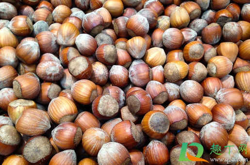 野生生榛子有点苦正常吗(野生榛子生吃怎么有点苦) 野生生榛子有点苦正常吗(野生榛子生吃怎么有点苦)
