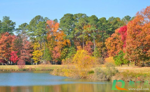 2021元旦会调休吗(2021年元旦要调休吗)