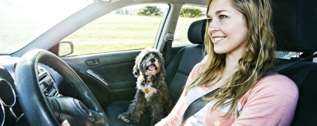 你准备好了吗(你准备好了吗ok双手摇踏踏步是什么歌)