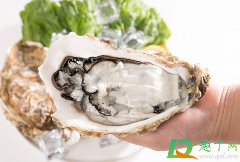 生蚝腥味重是坏了吗(生蚝味道特别重是不是坏了)