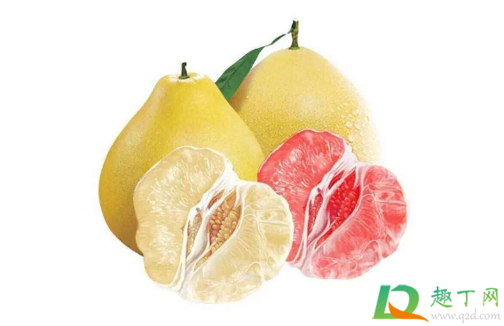 柚子苦的好还是甜的好(柚子是酸甜的好还是带苦味的好)