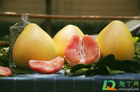 柚子有点青能吃吗(柚子皮有点青能吃吗)