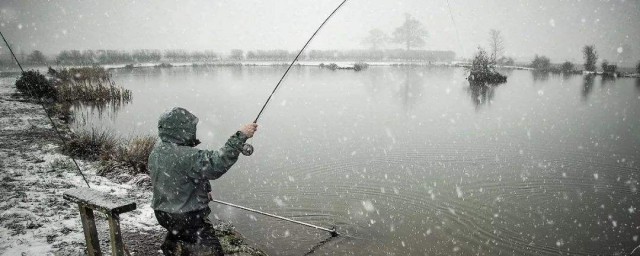 怎么钓鱼(怎么钓鱼方法与技巧原神)