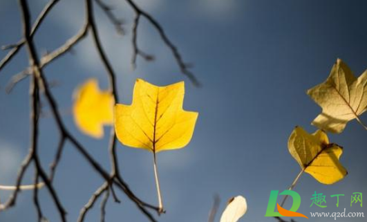 2021年元旦天气怎么样(2021年元旦天气预测)