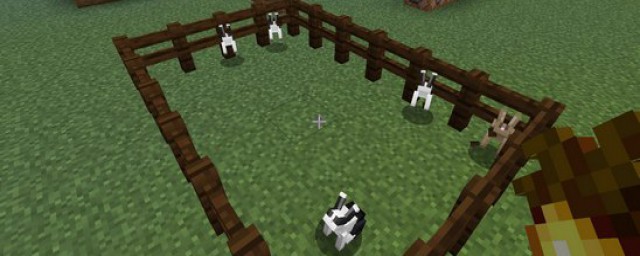 吃完后竟然还有惊喜(吃完饭之后)