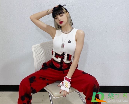 llisa螃蟹舞是哪个综艺(Lisa螃蟹舞是哪个综艺) llisa螃蟹舞是哪个综艺(Lisa螃蟹舞是哪个综艺)