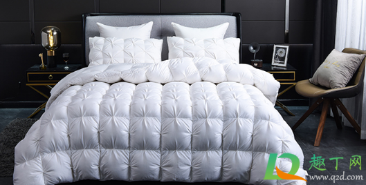 羽绒被有鸡毛味正常吗(羽绒服里有鸡毛)