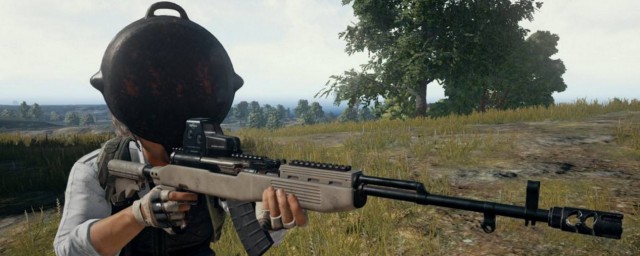 SKS该如何选用配件?(sks配件)