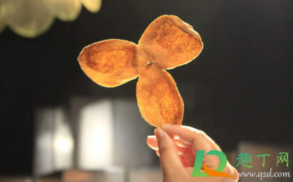 陈皮表面发白是发霉吗(陈皮表面有一层白霜是发霉吗)