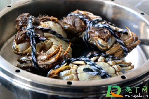 螃蟹除了壳子外有丢的吗(螃蟹不可能在剥我的壳)