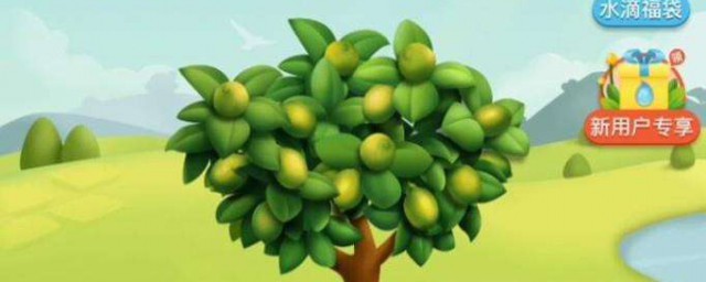 有很多人喜欢玩多多果园(多多果园玩不起)