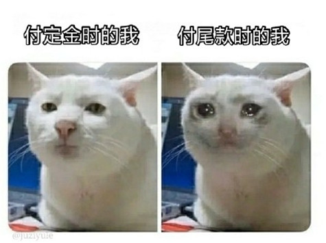 加油尾款人表情包(早安尾款人表情包)