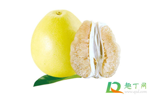 柚子软了是不是坏了(柚子太软是不是坏了) 柚子软了是不是坏了(柚子太软是不是坏了)