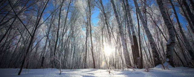 有哪些成语(有哪些成语与古人求学有关)