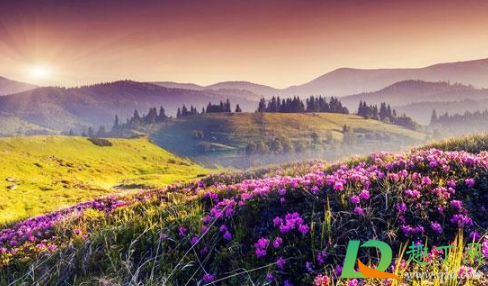 2021为什么是寡妇年(为什么2021年是寡妇年)