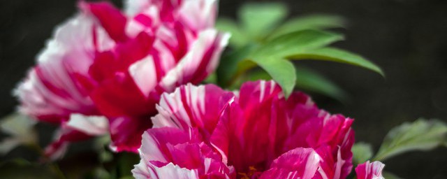 想提升运气的你快来了解了解(提升自己的气运)