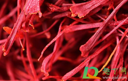 泡藏红花放多少合适(藏红花要放多少水泡)