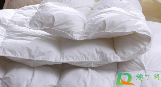 羽绒被有鸡毛味正常吗(羽绒服里有鸡毛)