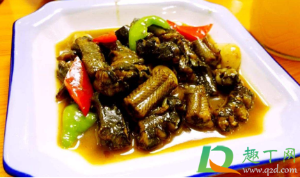 黄鳝硬了可以吃吗(黄鳝鱼不能吃)