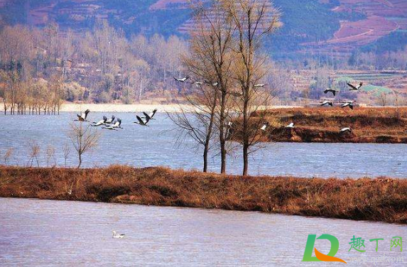 2021年元旦天气大概多少度(2021年元旦天气状况)