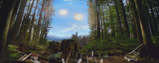 绿野电视剧结局亮子与娟子和好(娟子是什么电视剧)