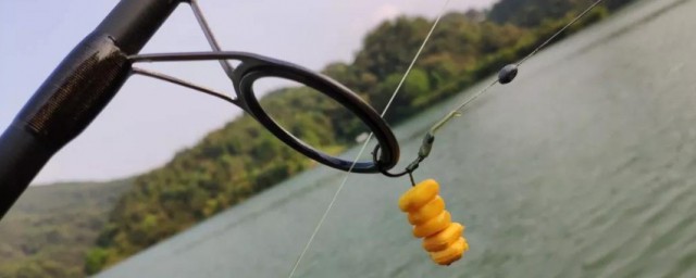 玉米要如何处理(玉米怎么处理成玉米粒)