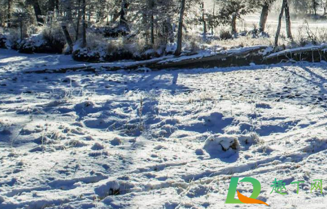 2021元旦会下雪吗(2021年春节期间会下雪吗) 2021元旦会下雪吗(2021年春节期间会下雪吗)