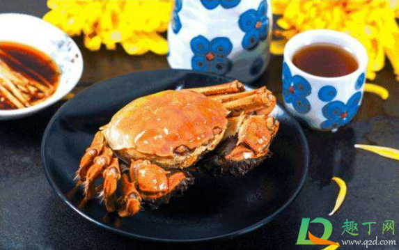 螃蟹里面黑乎乎的是什么东西需不需要去掉(螃蟹爪子上黑乎乎的是什么东西) 螃蟹里面黑乎乎的是什么东西需不需要去掉(螃蟹爪子上黑乎乎的是什么东西)