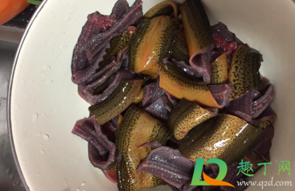 黄鳝硬了可以吃吗(黄鳝鱼不能吃)