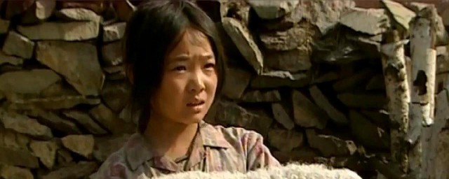 感人电视剧推荐详述(好看感人电视剧)