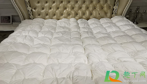 羽绒被的被套要小一号吗(羽绒被可以用小一点的被罩吗) 羽绒被的被套要小一号吗(羽绒被可以用小一点的被罩吗)