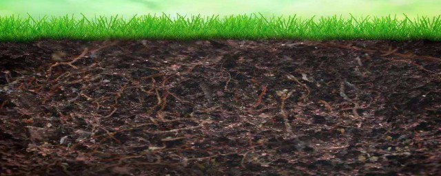 在种植过程中要注意哪些?(种植需要哪几个过程)