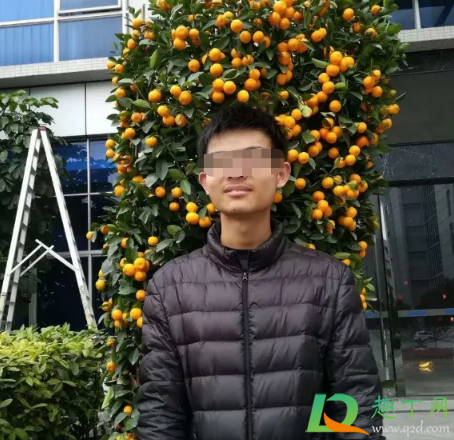 江苏大学杨凯死亡原因确定了吗